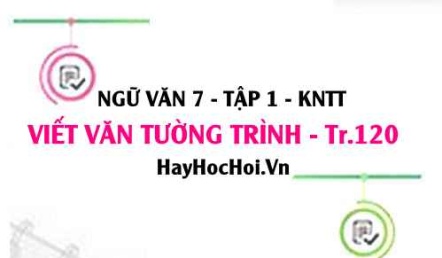 Soạn bài Viết văn bản tường trình trang 120 Ngữ văn lớp 7 Kết nối tri thức tập 1